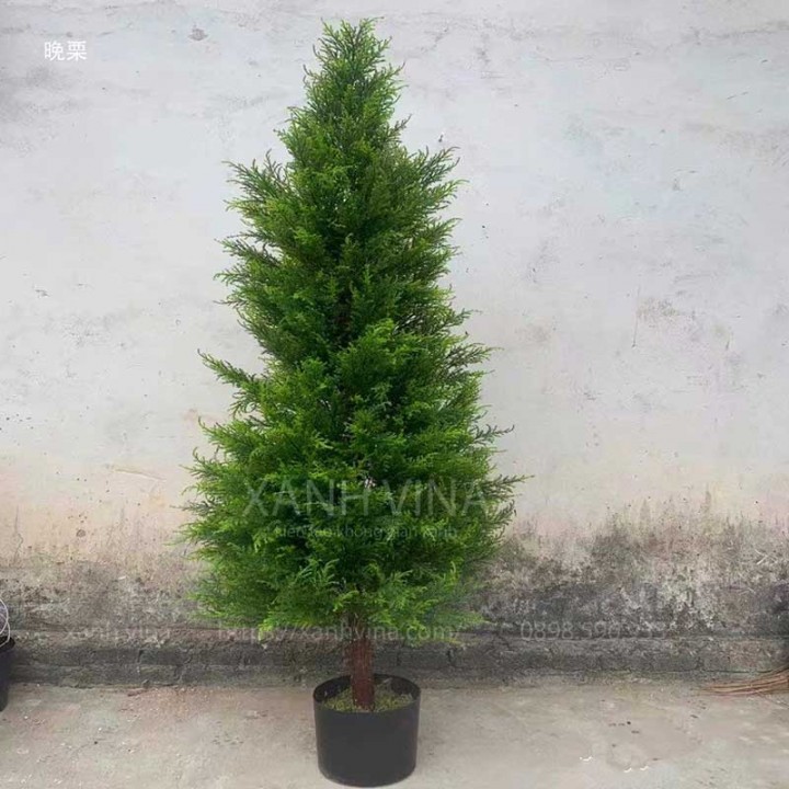 Cây thông noel 1,5m